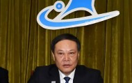郑州交通运输集团有限公司董事长王振宾被查