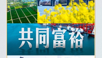 习言道｜全国两会，习近平再谈共同富裕