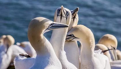 交易量超10亿美元 以太坊ETF“开门红”