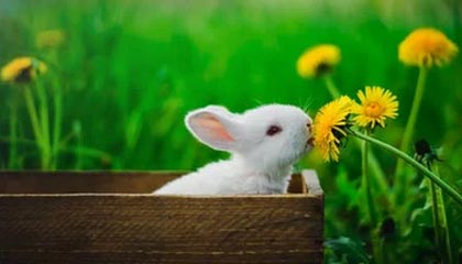 中国银河：公司信息以公司在上海证券交易所网站和公司指定信息披露媒体刊登的相关公告为准