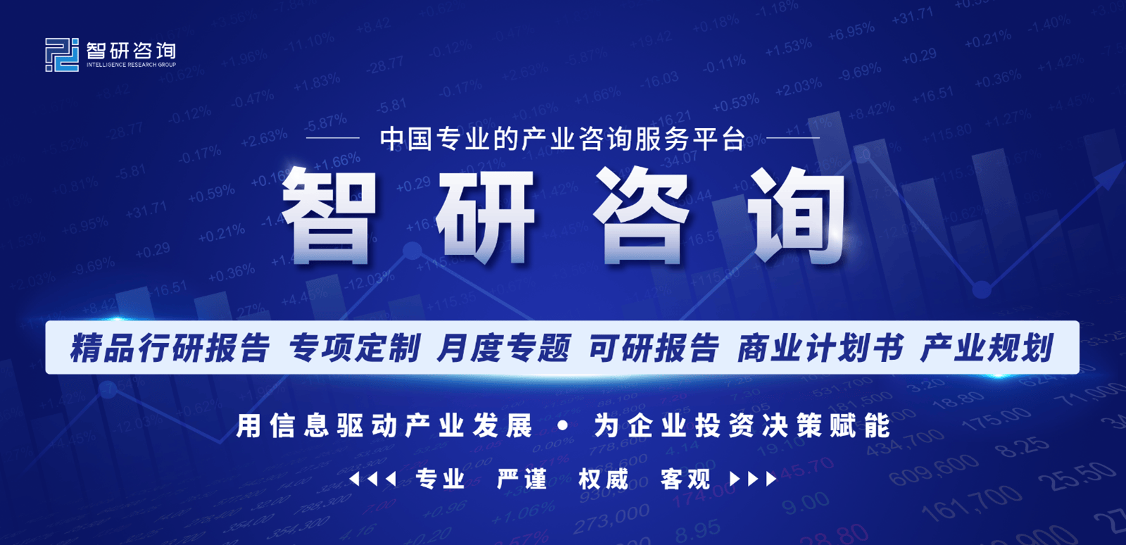 2024-2030年中国比特币市场全景调研及投资前景研判报告