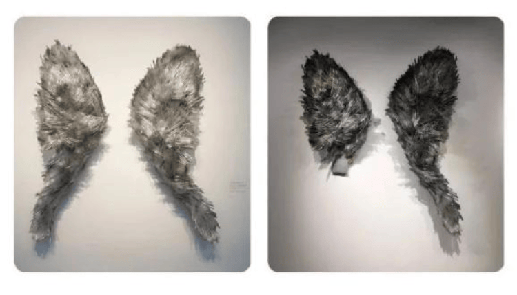 上海一博物馆循环播放12年前“熊孩子”损坏展品视频,馆方:起警示作用