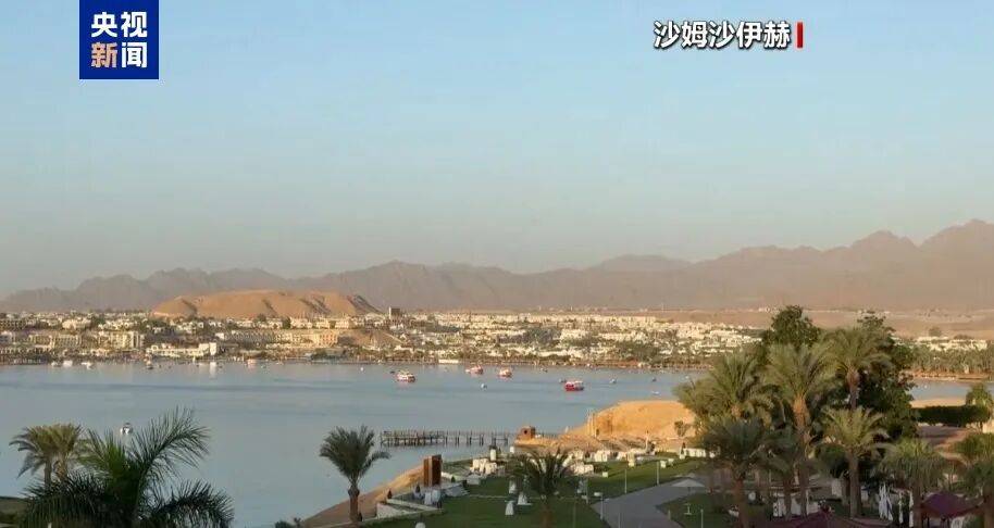 哈马斯代表团:与以色列间接谈判取得积极进展,联合国秘书长敦促各方立即停止敌对行动