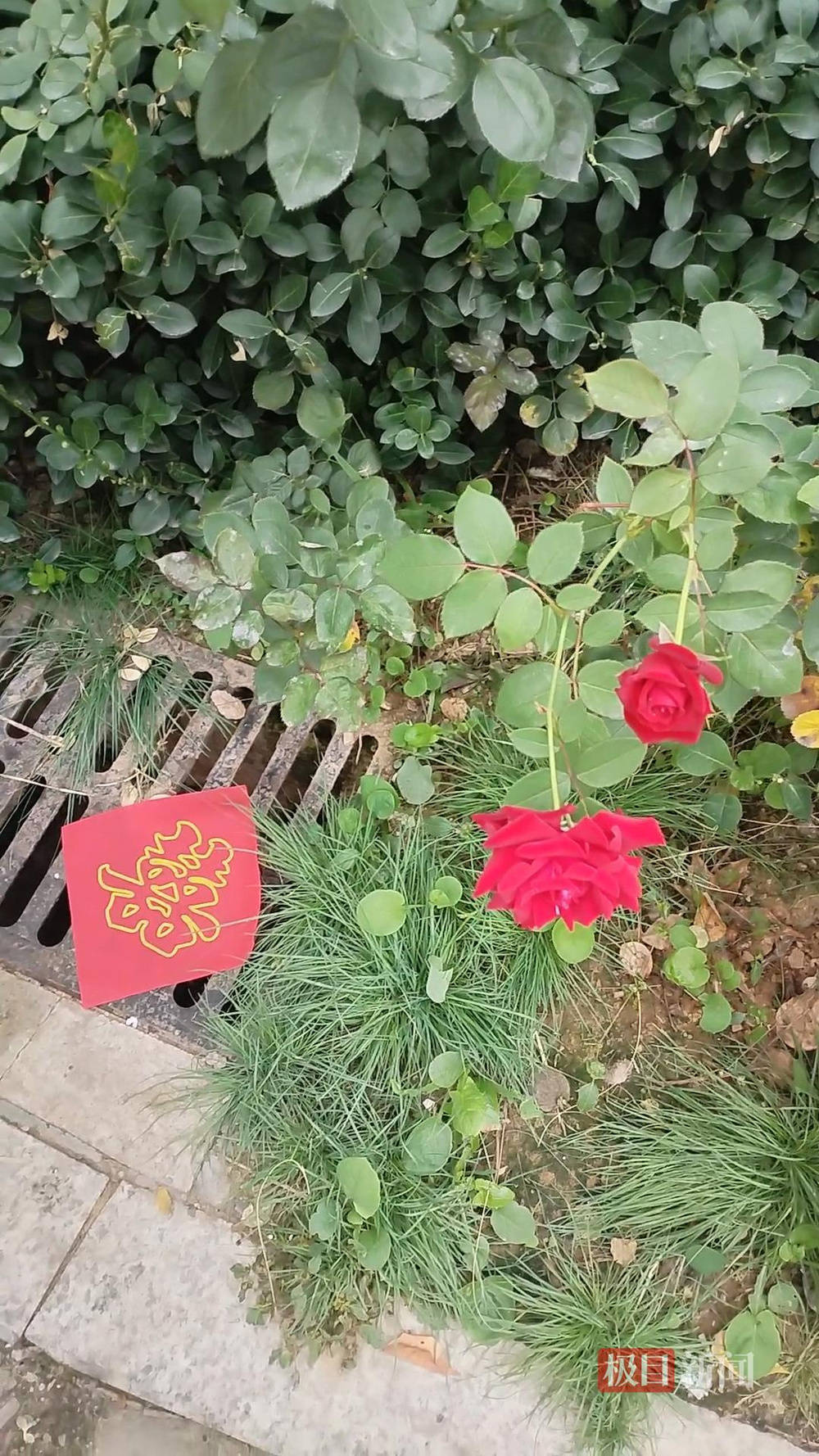 山西婚礼要在下水道井盖贴“喜”字?有的井盖被贴了8张,当地居民:寓意不踩坑、驱晦迎喜