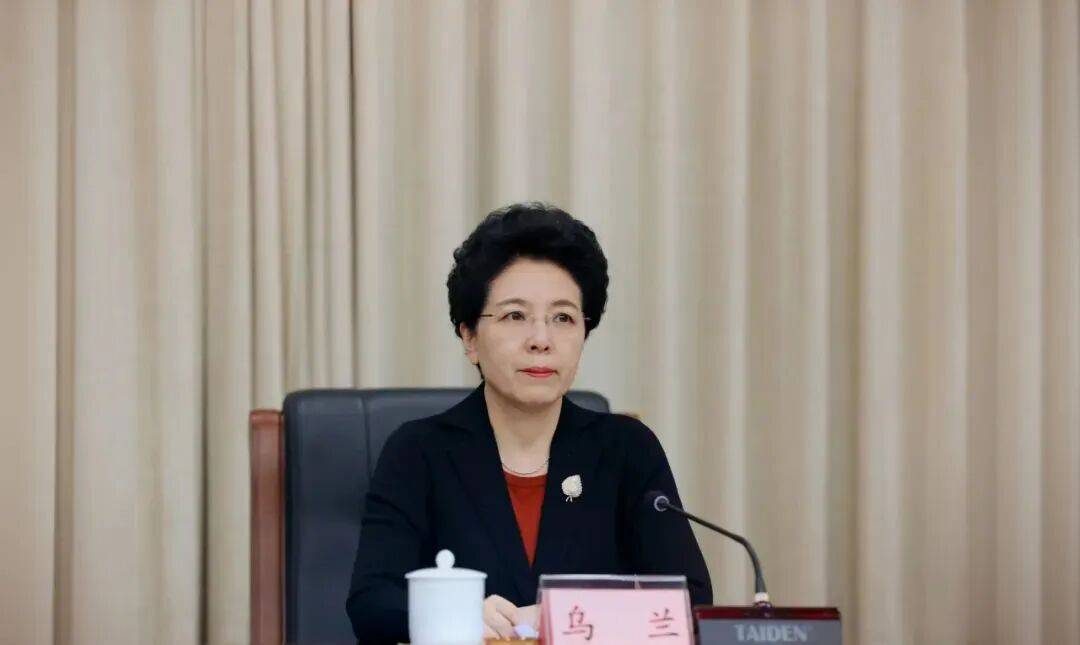 打虎!乌兰,任上被查