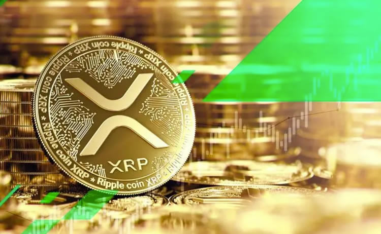 XRP交易所投资(xrp币有投资价值吗)