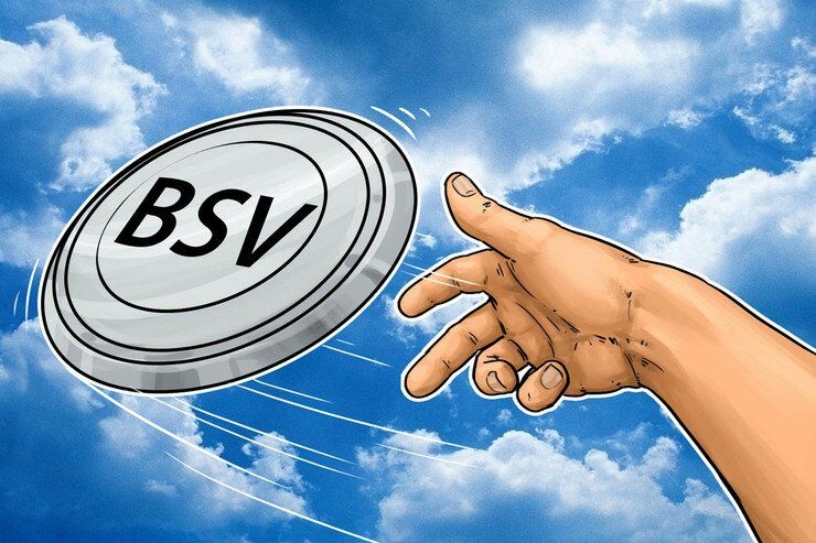 BSV交易所投资(bseedex交易所)