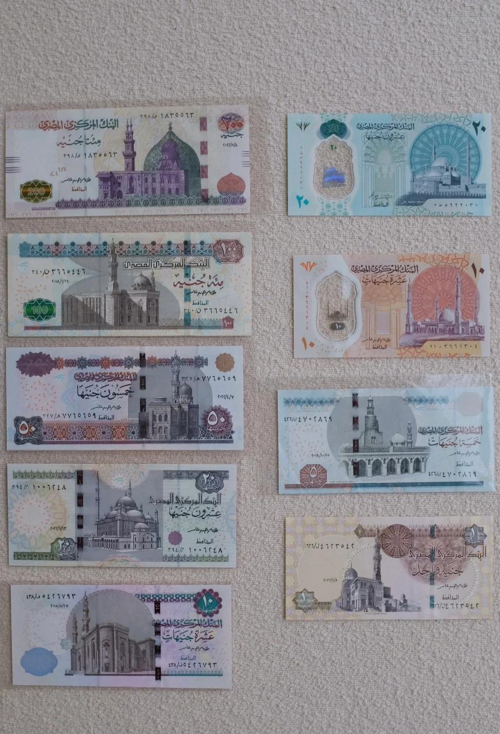 埃及货币(埃及货币叫什么)