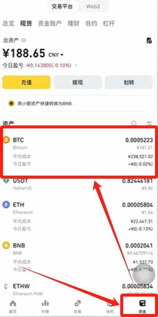 虚拟货币交易平台(虚拟货币交易平台下载)