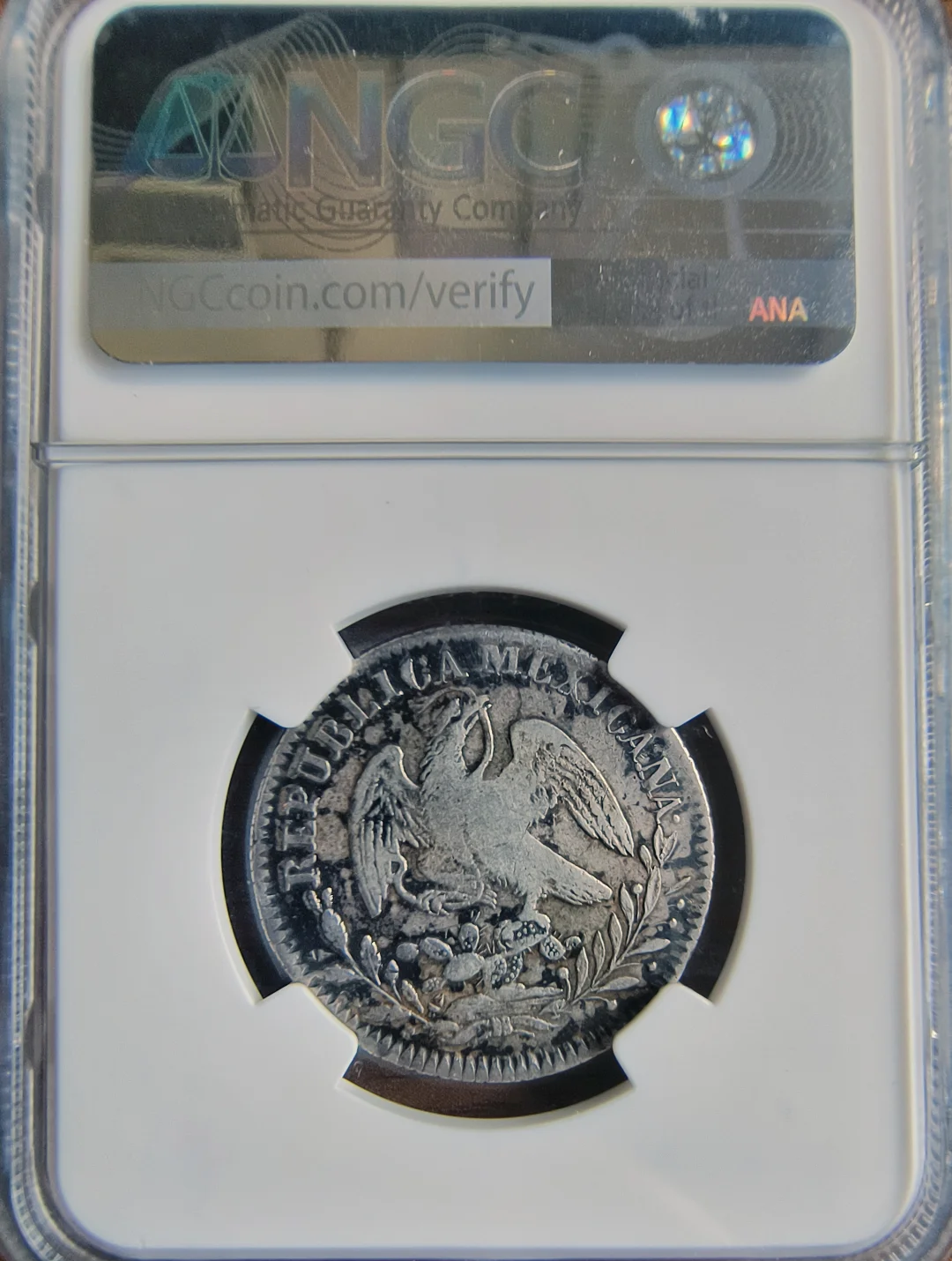 墨西哥货币(墨西哥货币和人民币汇率)